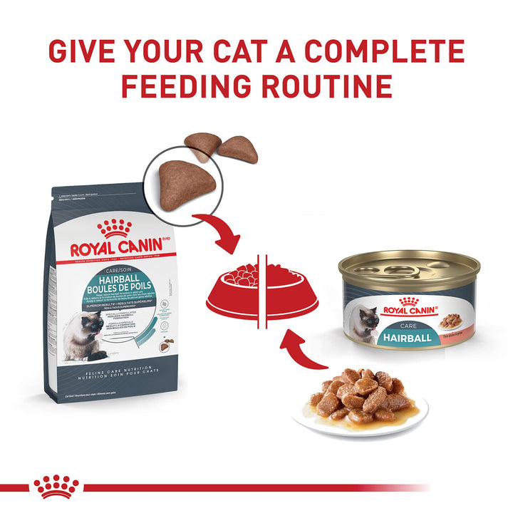Royal Canin Feline Care Nutrition Hairball Care Adult Dry Cat Food, 6 lb Bag