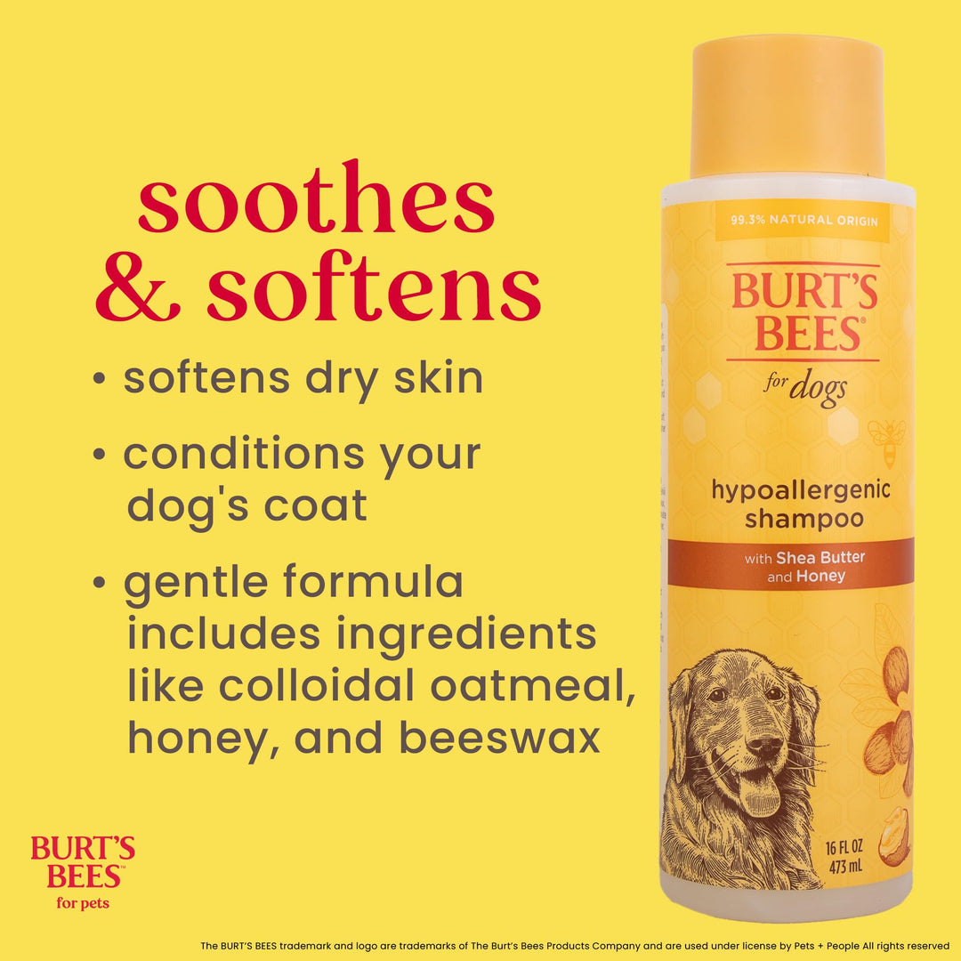 Burts Bees for Pets Hypoallergenic Dog Shampoo, Shea Butter Honey, 16 Fl Oz