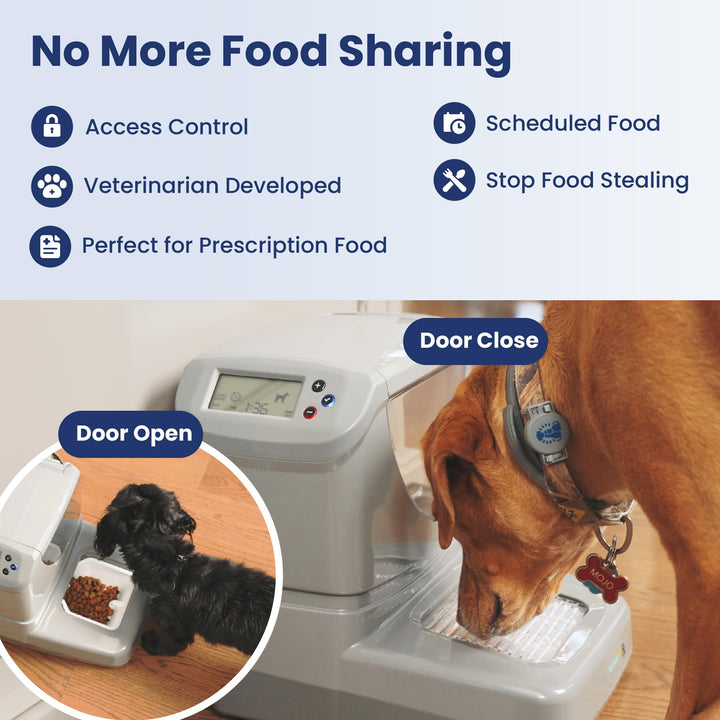 PortionPro Rx Automatic Pet Feeder with Active RFID Technology - Prevents Food Stealing, Perfect for Prescription Diets, Schedules Meals for Multiple Pets (Cats &amp; Dogs)