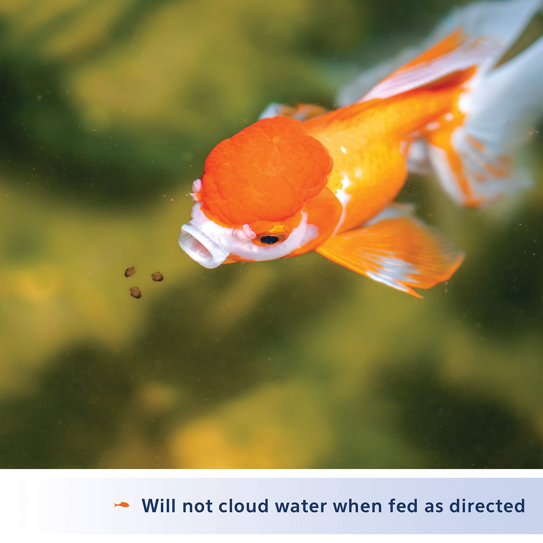 Aqueon Goldfish Fish Food Slow Sinking Granules, 100106053, 5.8 Ounce (Pack of 2)