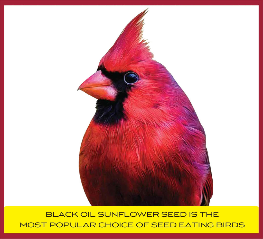 Pennington Select Black Oil Sunflower Seed 40lbs