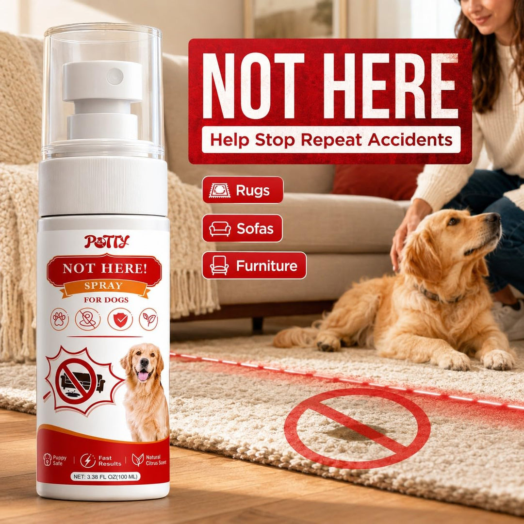 Potty Training Spray for Dogs, Premium Go Here Puppy Training Aid for Housebreaking, Indoor &amp; Outdoor Dog Pee Attractant Spray for Pads, Grass and Trays, 6.8 Fl Oz, (Blue+Orange)