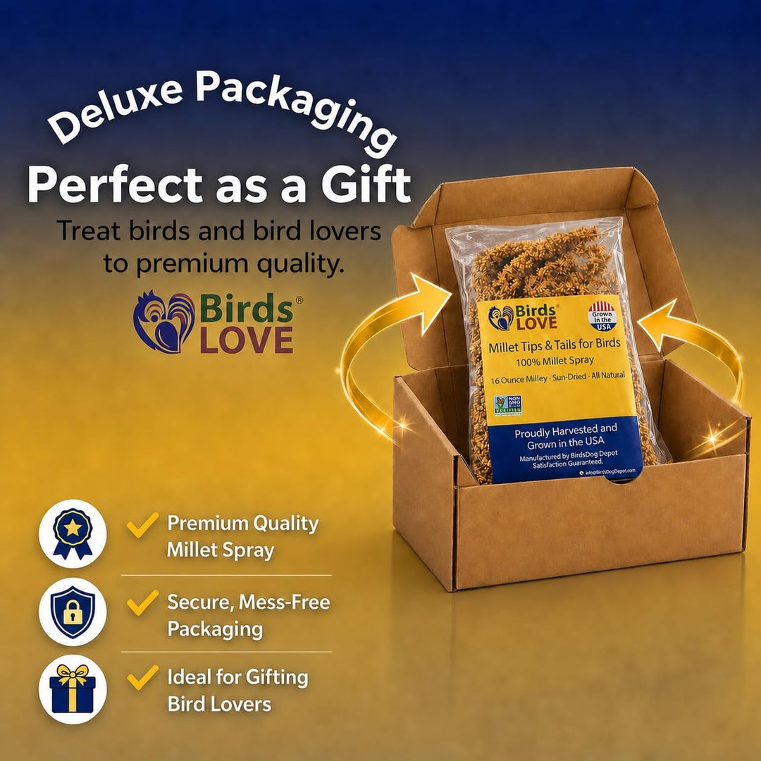 Birds LOVE® Millet Tips &amp; Tails for Birds – Premium Spray Millet Treat, Non-GMO, USA Grown – Natural Bird Food for Parakeets, Cockatiels, Budgies, Lovebirds, Finches, Canaries &amp; Parrots – 1 lb