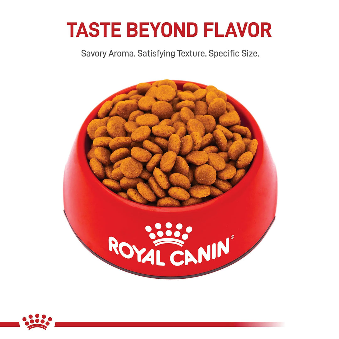Royal Canin Size Health Nutrition Medium Adult Dry Dog Food, 30 lb Bag