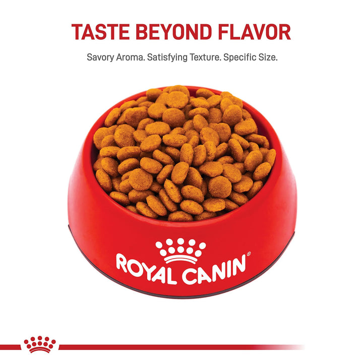Royal Canin Size Health Nutrition Medium Adult Dry Dog Food, 30 lb Bag