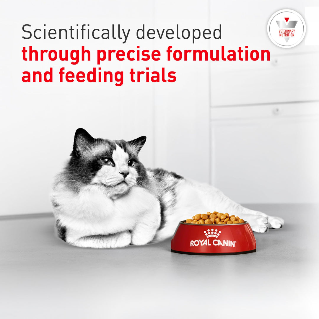 ROYAL CANIN Veterinary Diet Feline Urinary SO Adult Dry Cat Food, 7.7 lb Bag