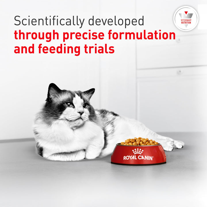 ROYAL CANIN Veterinary Diet Feline Urinary SO Adult Dry Cat Food, 7.7 lb Bag
