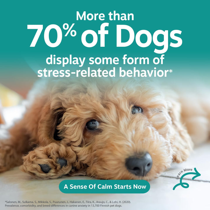 Zesty Paws Puppy Calming Chews for Dogs - Puppy Essentials, Turkey, 90 Ct