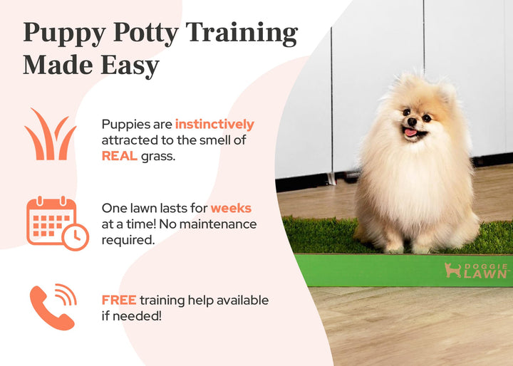 DoggieLawn Real Grass Dog Pee Pads - Medium Dog Potty Pad 24x20