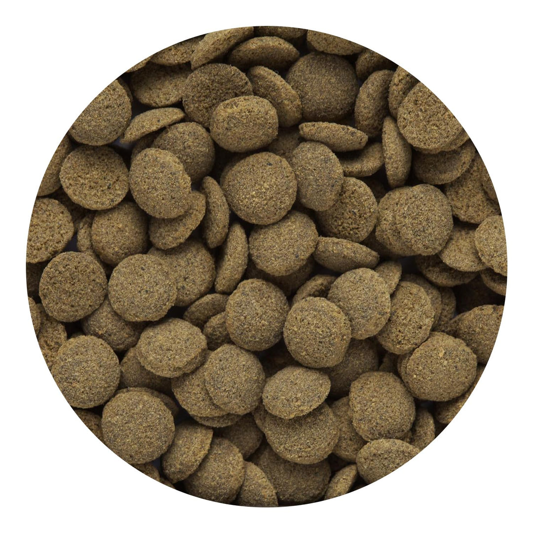Hikari® Sinking Wafers® for Bottom-Feeding Tropical Fish, 3.88 oz (110g)