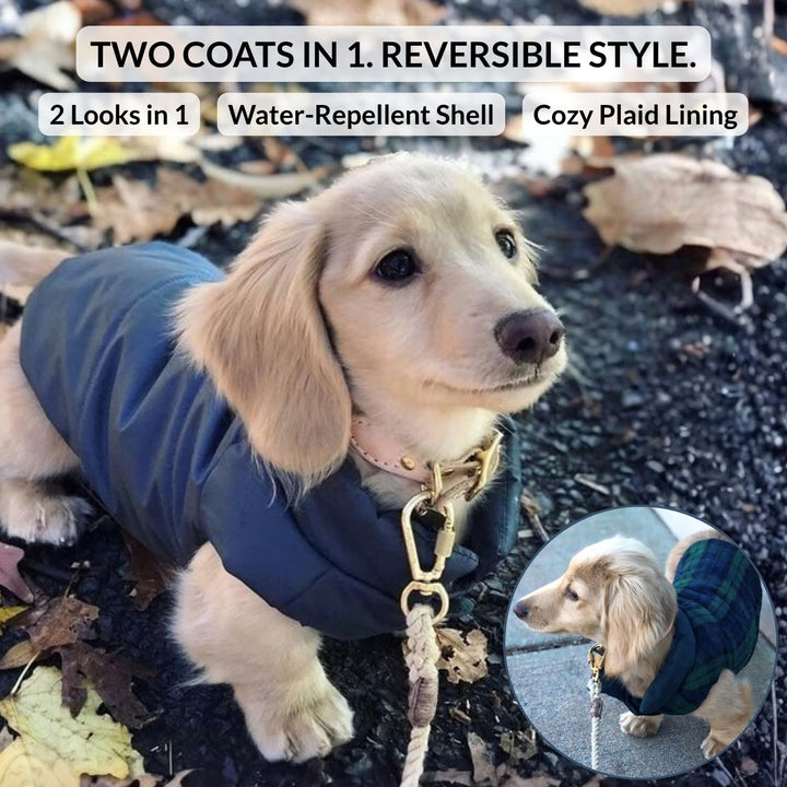 DJANGO Reversible Puffer Dog Coat &amp; Warm Winter Jacket - Blue, Medium