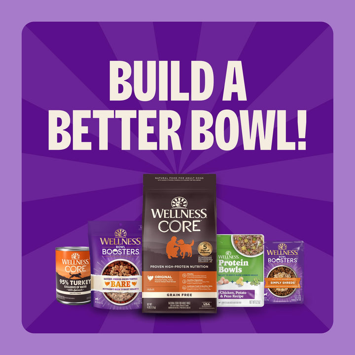 Wellness CORE Adult Dry Dog Food, Grain Free Kibble, Natural, High Protein, Turkey and Chicken Recipe, 26 lb Bag