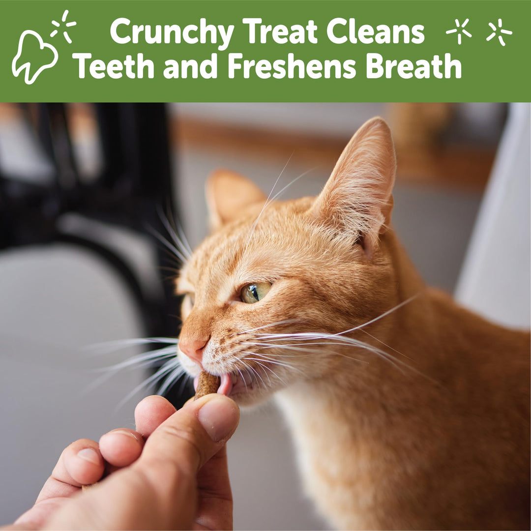 Whimzees Wellness Cat Dental Treats, Freshens Breath, Chicken and Salmon Flavor, 4.5 oz Bag (Pack of 2)