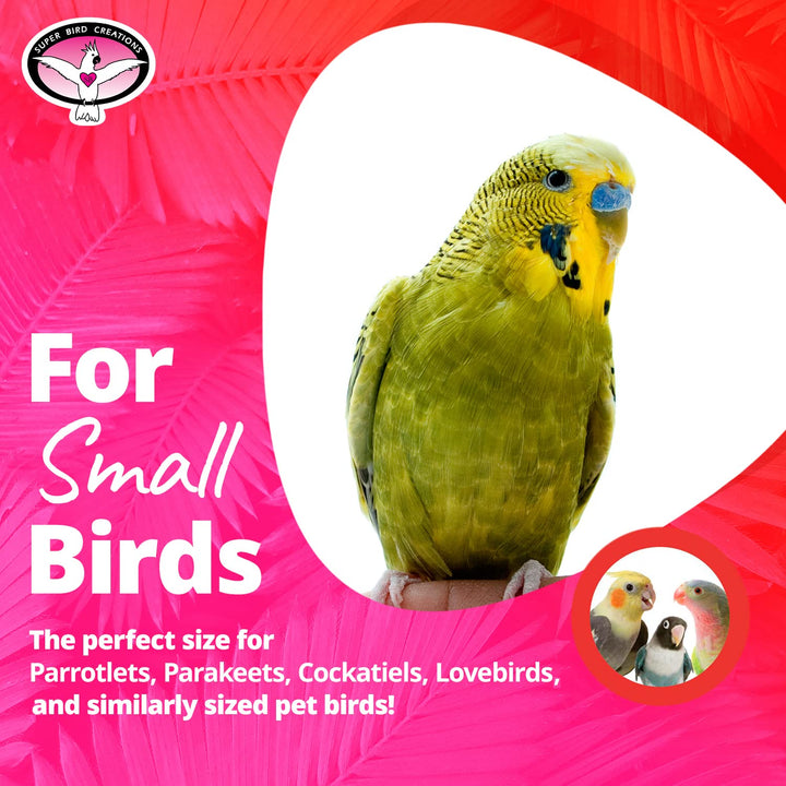 Super Bird Creations SB323 Small Bungee Bird Toy - Rope Perch for Canary, Parakeets, Cockatiels, Finch, Lovebirds - Colorful Hanging Perch - Enriching Bungee Toy for Small Birds &amp; in Bird Cages