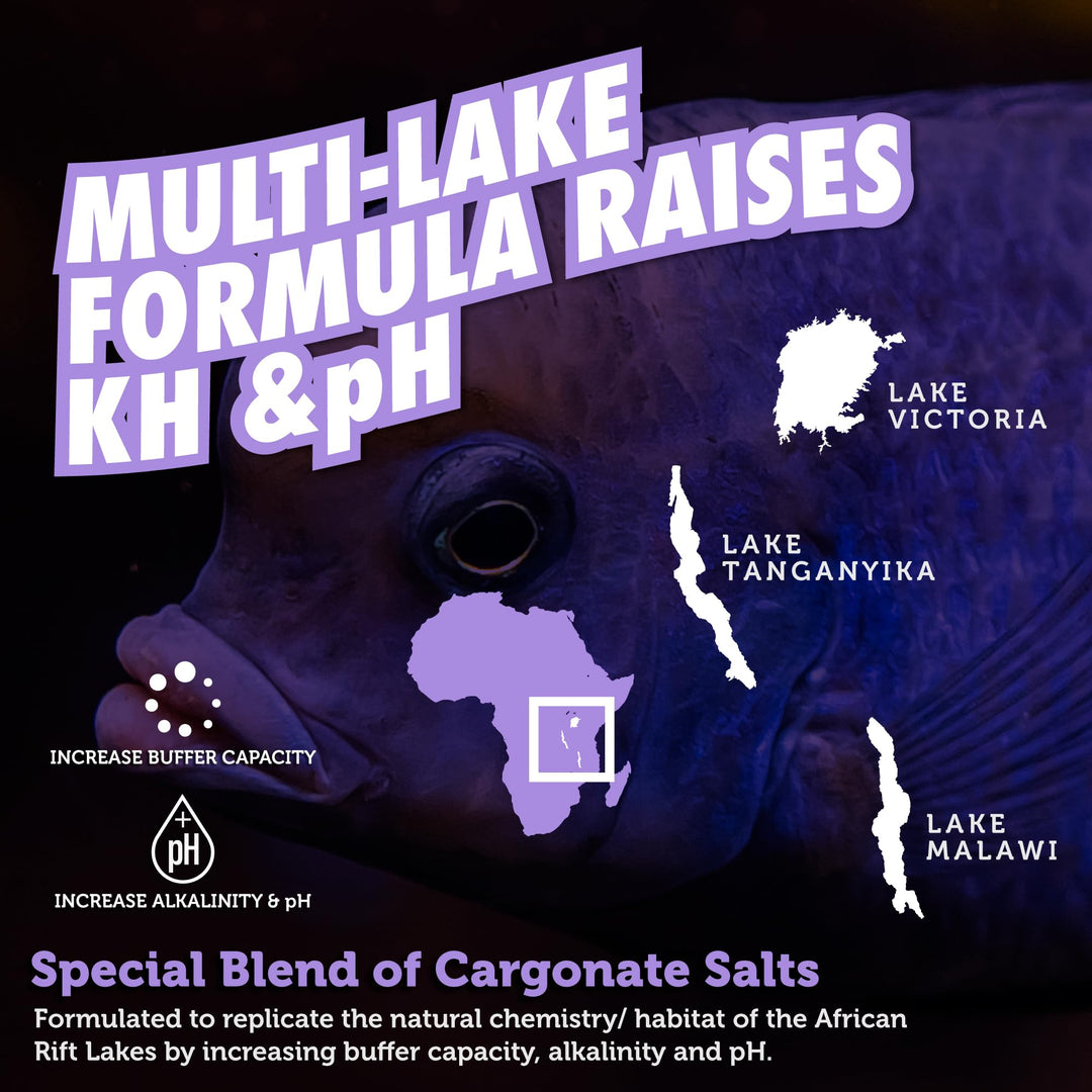Fritz Aquatics Rift Lake Cichlid Buffer Multi-Lake Formula Raises KH &amp; pH (3-Pound)