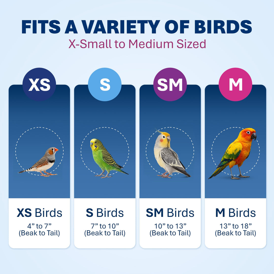 Prevue Hendryx Pet Products Wrought Iron Flight Cage - Big Rolling Bird Cage for Parakeets, Cockatiels, Conures, Lovebirds, Canaries, Finches, Parrotlets, &amp; Caiques, 5 Ft - X-Large, Hammertone Black