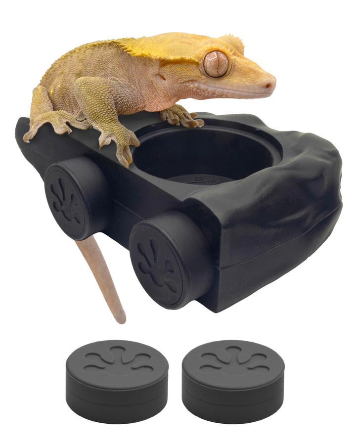 Pangea Silicone Gecko Feeding Ledge - Magnetic Mini Food Dish, Black