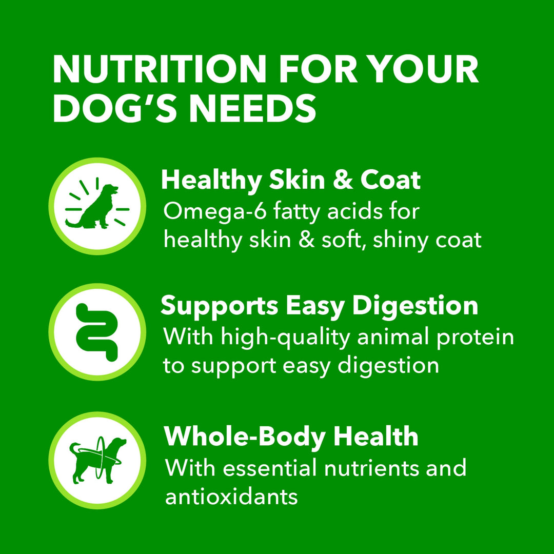 IAMS Proactive Health Ground Wet Dog Food, Chicken, 13 oz, 12 Pack