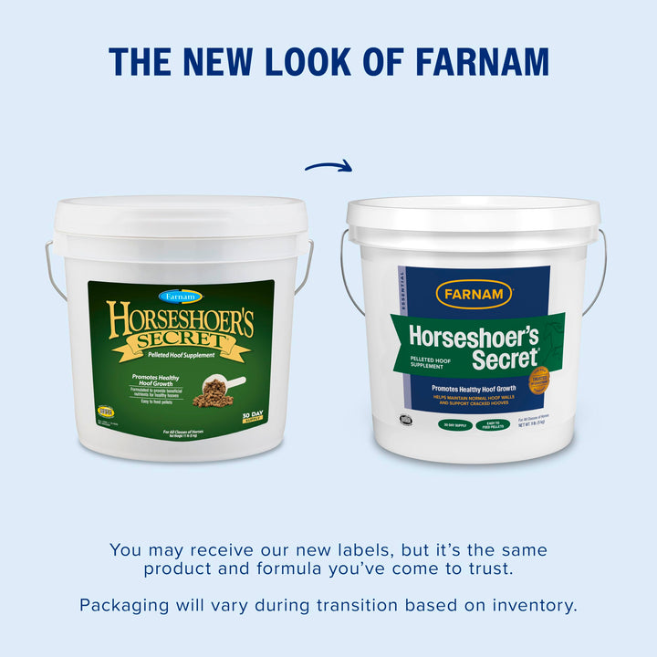 Farnam Horseshoer&