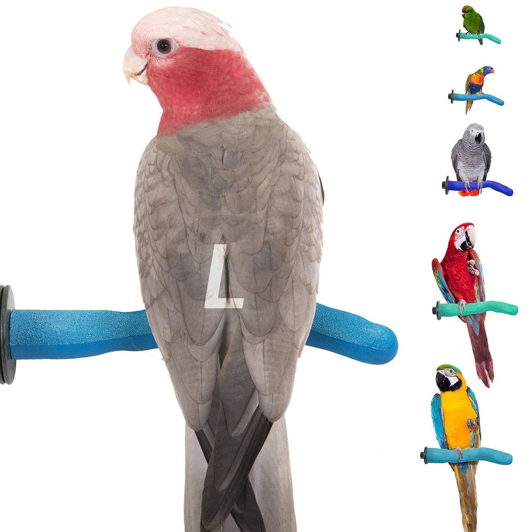 Sweet Feet and Beak Safety Pumice Bird Perch, Large Pedicure Perch, Blue