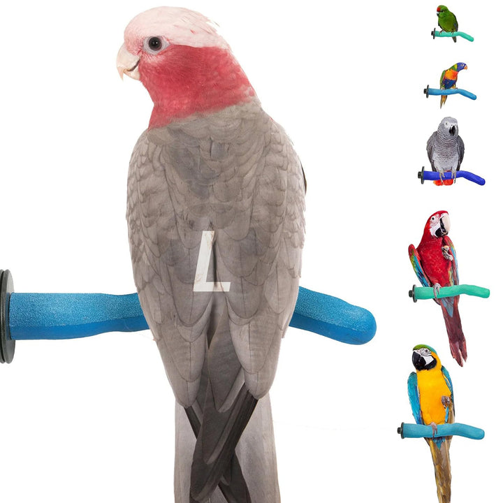 Sweet Feet and Beak Safety Pumice Bird Perch, Large Pedicure Perch, Blue