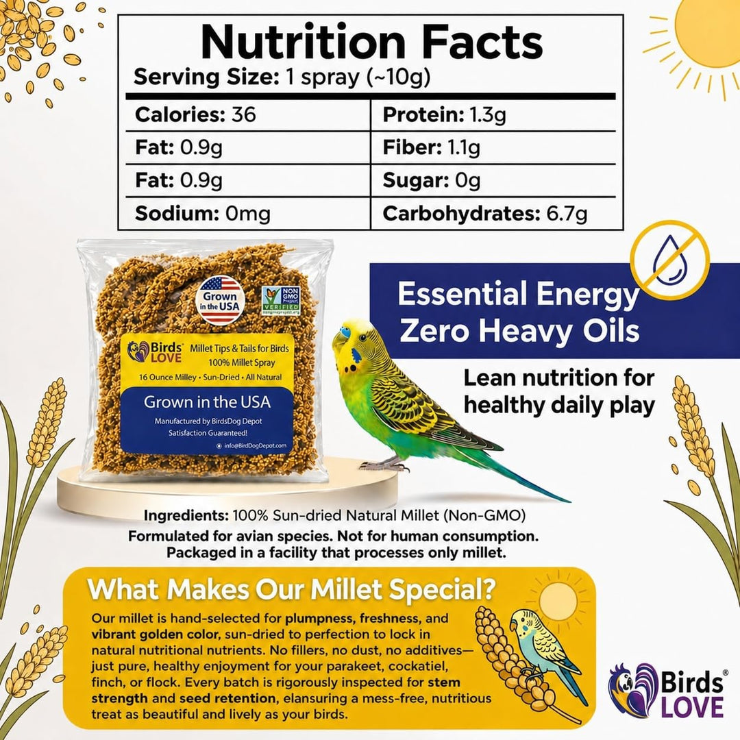 Birds LOVE® Millet Tips &amp; Tails for Birds – Premium Spray Millet Treat, Non-GMO, USA Grown – Natural Bird Food for Parakeets, Cockatiels, Budgies, Lovebirds, Finches, Canaries &amp; Parrots – 1 lb