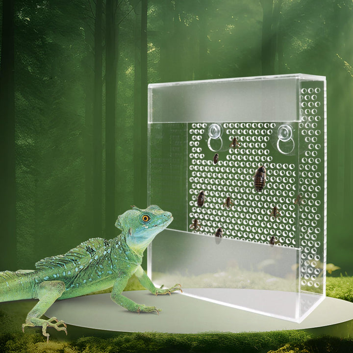 Transparent Acrylic Reptile Feeder Box, Wall-Mounted Insect Feeder with Suction Cups, Tank and Aquarium Accessories for Bearded Dragon, Lizard, Gecko, Frog