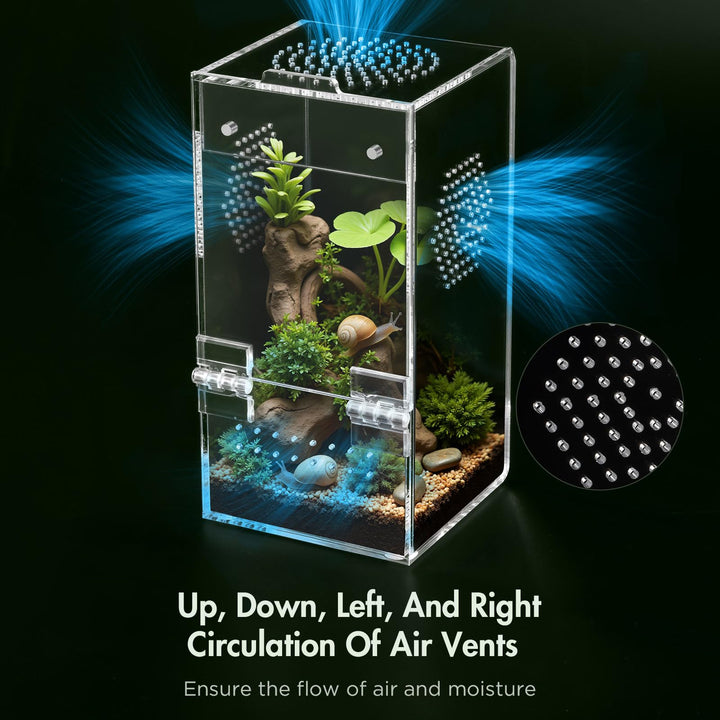 CourtyardAid Pre-Assembled Jumping Spider Enclosure, All-Side Ventilation