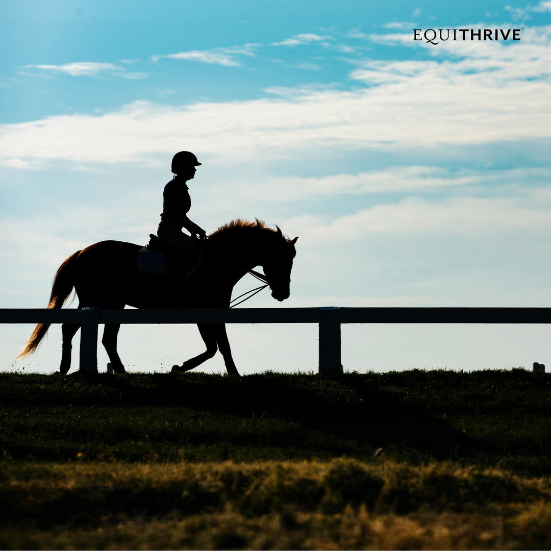 Equithrive Classic Joint Pellets Horse Supplement, 3.3 lbs