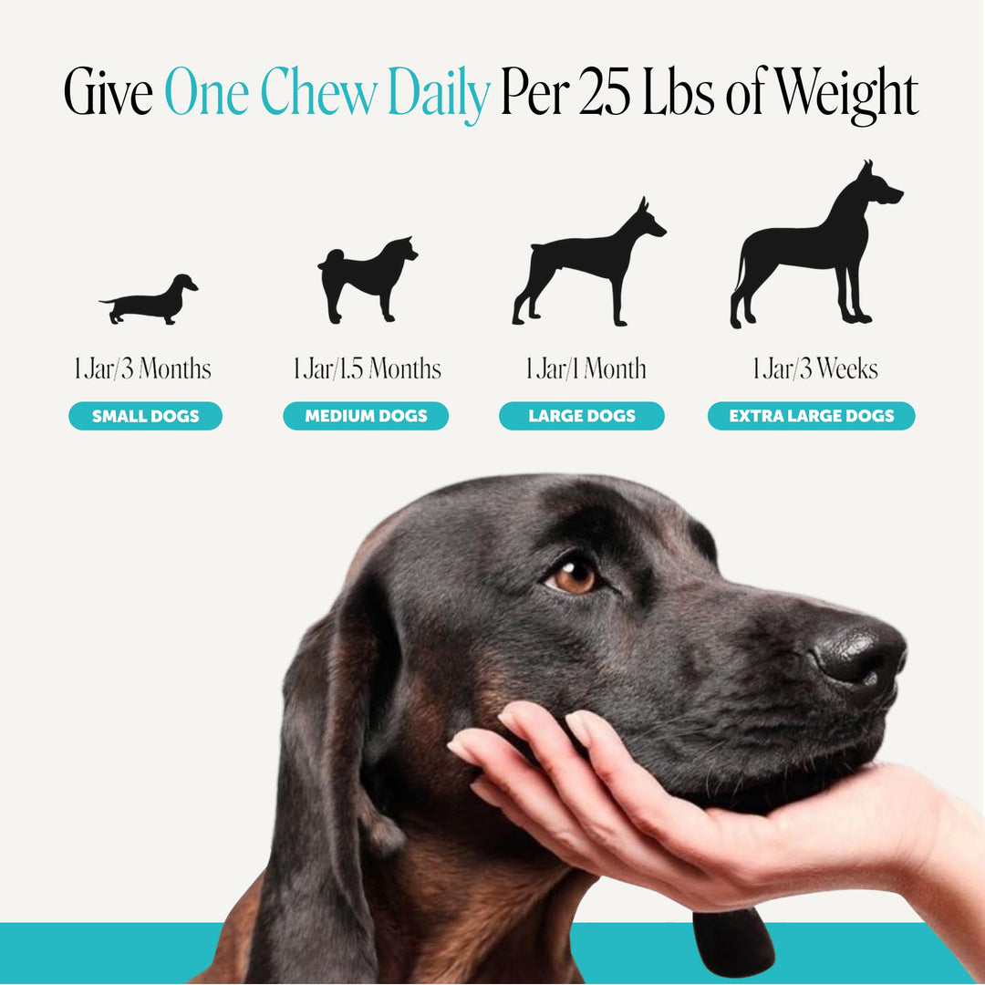 Pet Honesty Vet Recommended Dog Calming Chews with Ashwagandha, 90 Count
