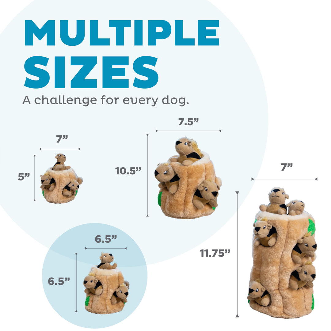 Outward Hound Hide-A-Squirrel Plush Squeaky Dog Toy, Medium, 6.5" x 6.5"