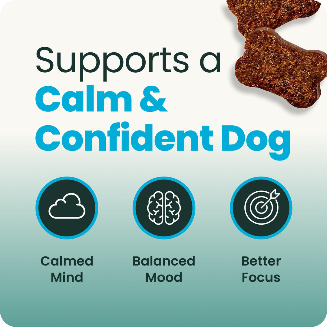 VetriScience Calm &amp; Confident Chews for Dogs, Chicken, 60 Count