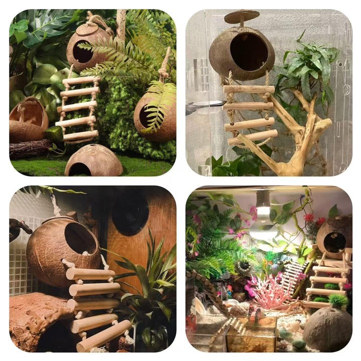 10PCS Crested Gecko Tank Accessories, Reptile Plants Bridge Vines, Coconut Shell with Ladder for Lizard, Chameleon Cage, Snakes, Hermit Crab, Leopard Gecko Tank Accessories, Terrarium Decor