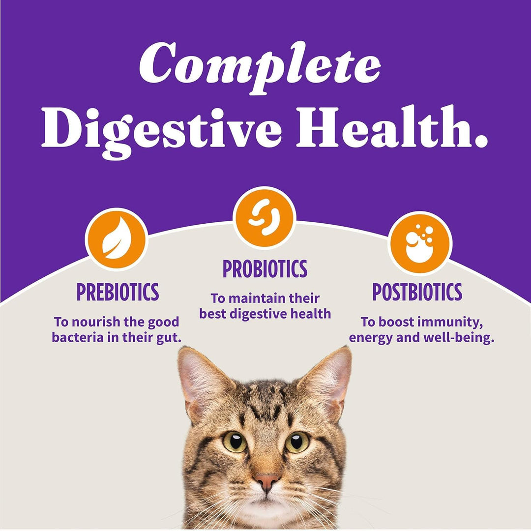 Halo Holistic Dry Cat Food, Cage-Free Chicken Recipe, 3 lb