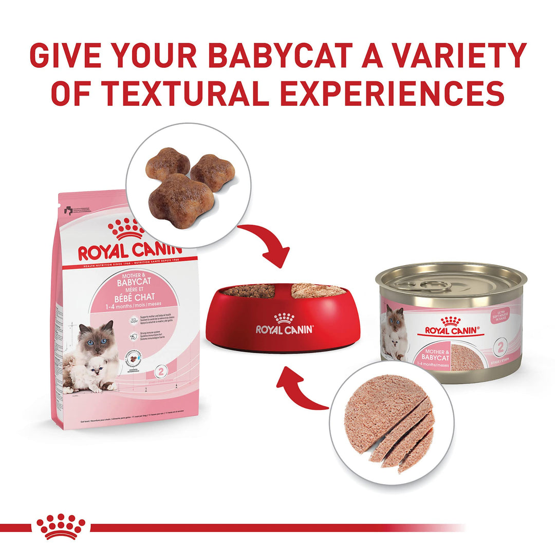 Royal Canin Feline Health Nutrition Mother &amp; Babycat Queen Dry Cat Food, 3 lb Bag