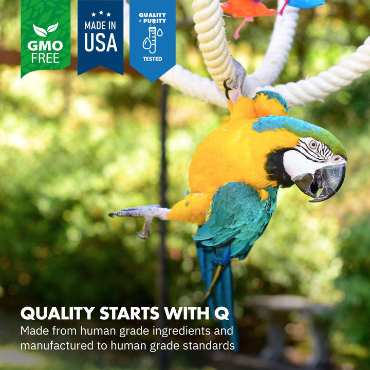 Equa Holistics HealthyGut™ Avian Probiotics Dietary Supplement for Parrots, All-Natural Digestive System Formula (120 Servings)