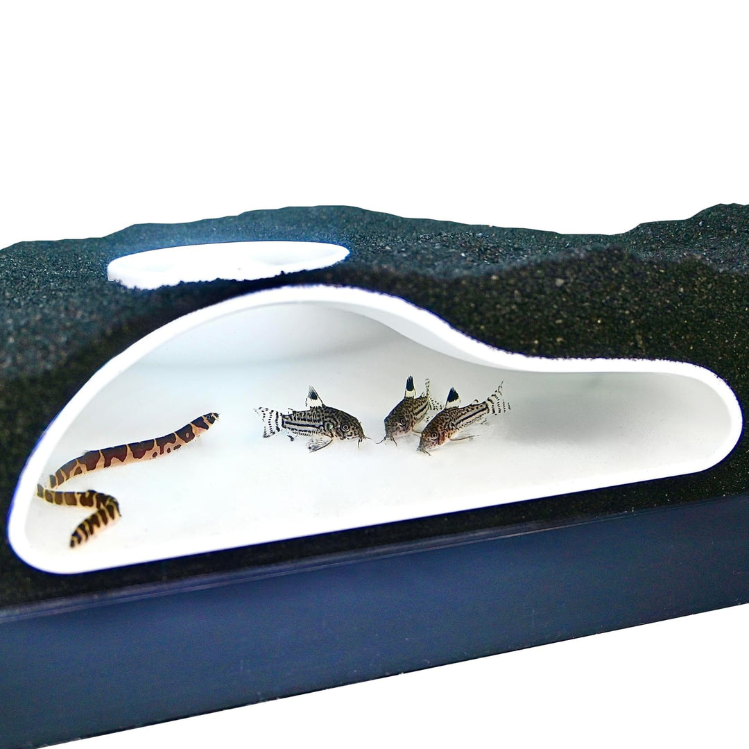 Aquarium Underground Tunnel Cave Natural Curve | Viewing Fish &amp; Shrimp Under Gravel Tunnel | Fish Tank Decor Decoration Hideout Perfect for Corydora Catfish, Kuhli Loach, Clown Loach, Pleco (White)