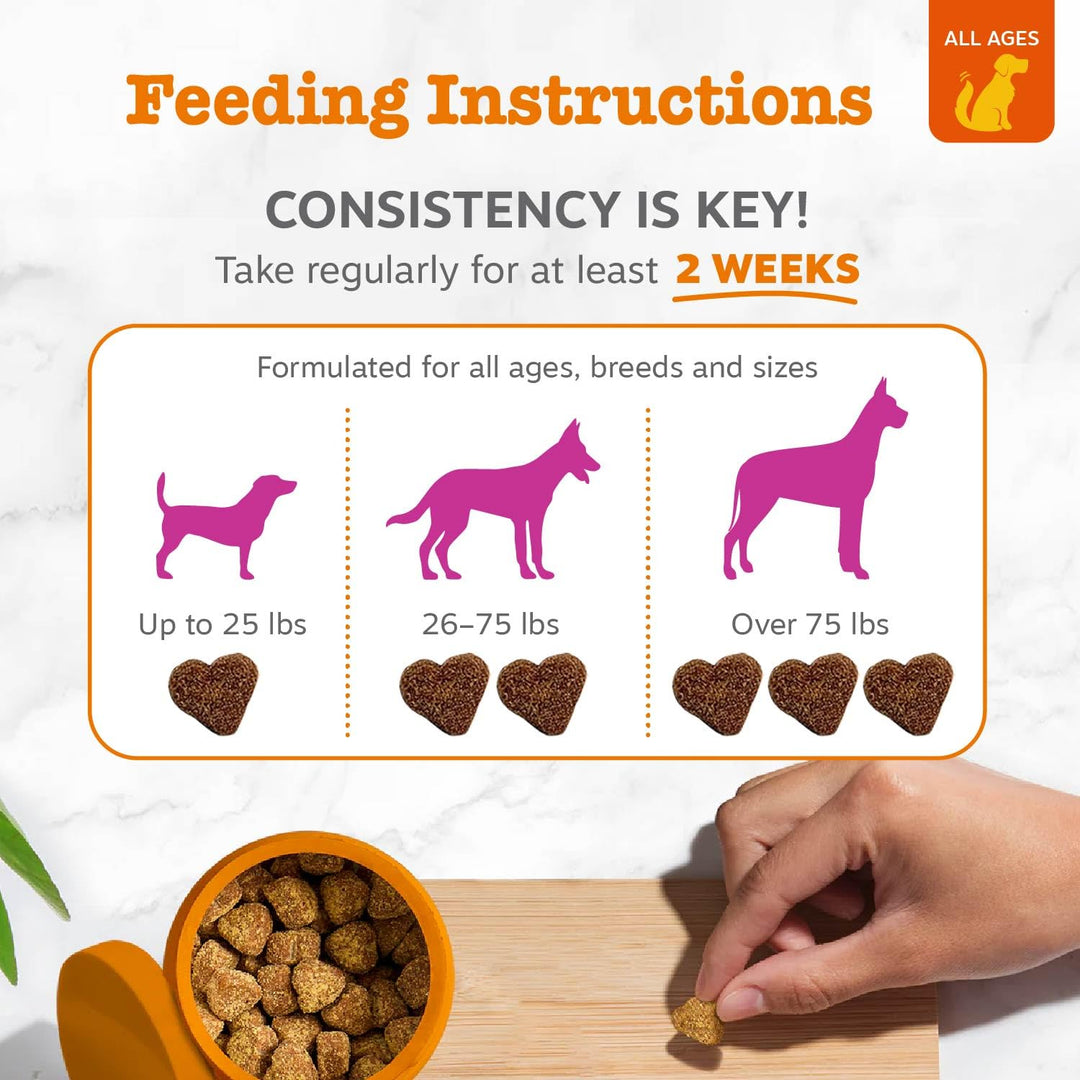 Zesty Paws Mussel Mobility Bites for Dogs - New Zealand Green Lipped Mussel with Natural Glucosamine &amp; Chondroitin + Omega-3 Fatty Acids - Hip &amp; Joint Support Supplement Soft Chews – 90 Count