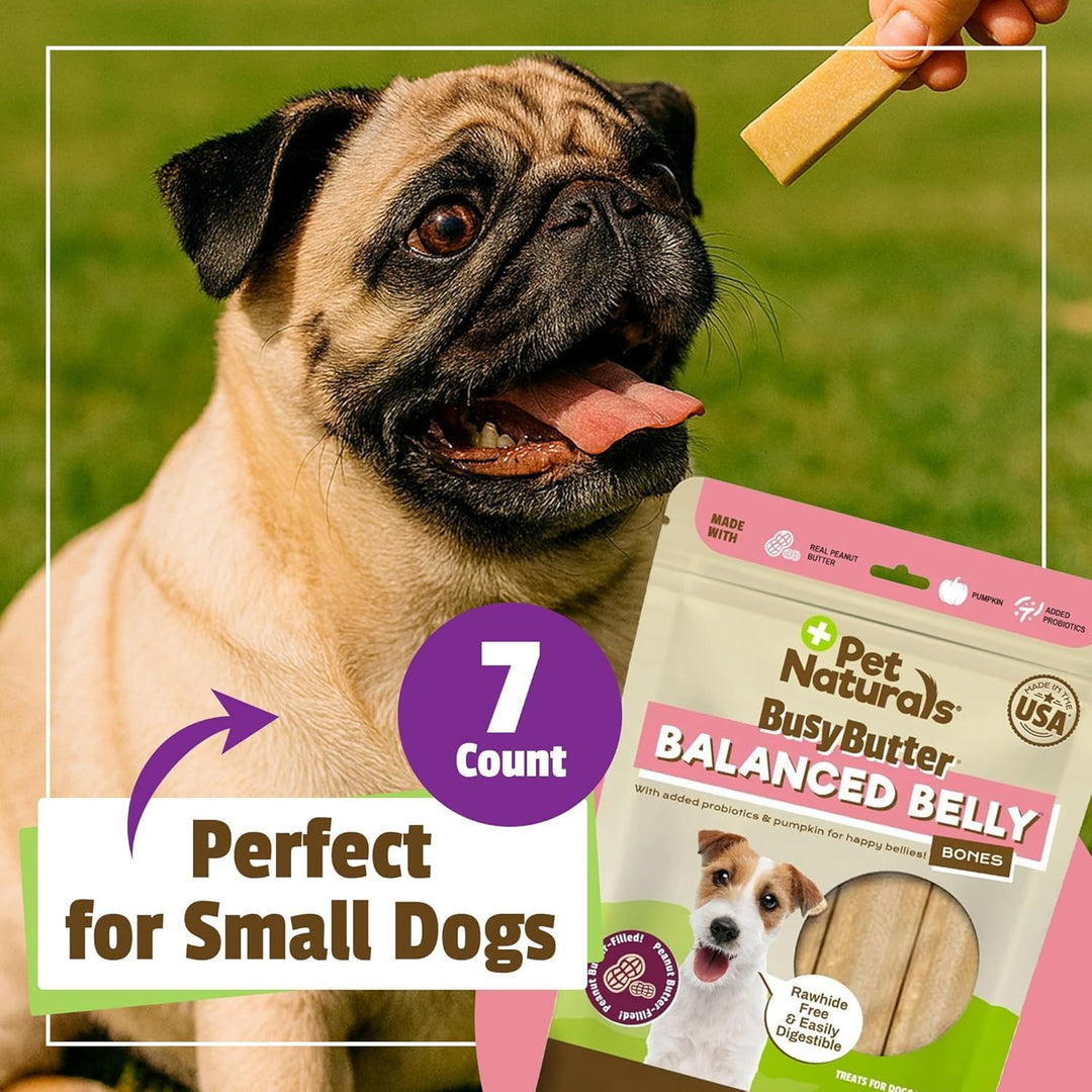 Pet Naturals BusyButter Balanced Belly Dog Bones, Small, 22 Count