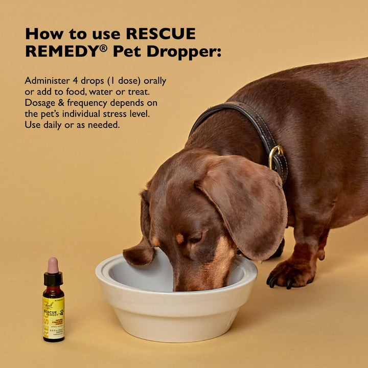Rescue Remedy Pet Dropper - 10mL - Stress &amp; Tension Support for Dogs &amp; Cats with Bach Natural Flower Essences - Sedative-Free, Homeopathic Liquid Formula - For All Breeds, Ages &amp; Weights