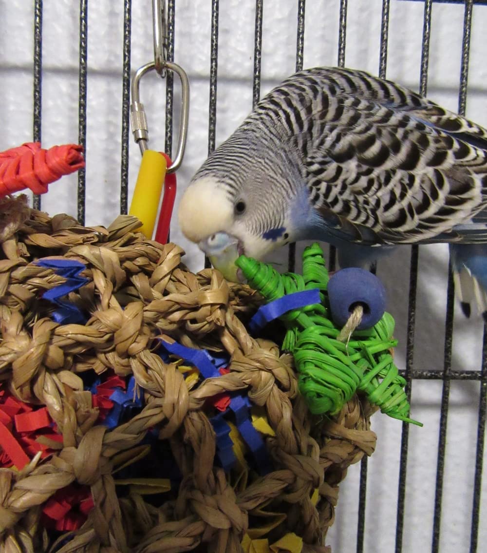Super Bird Creations SB50949 Pickin’ Pocket Bird Toy - Ideal for Cockatiels, Parakeets, Parrots - Small to Medium Birds - Fun &amp; Entertaining Bird Toy - Bird Safe Component &amp; Design - 7.5"x5" (2 Pаck)