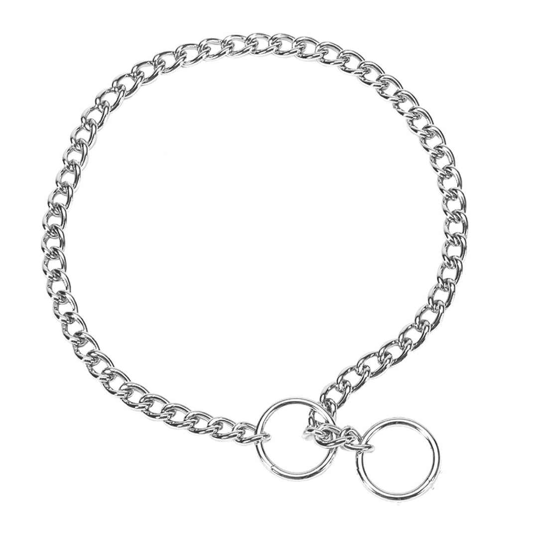 Coastal Pet Titan Chain Training Dog Collar, 4 mm x 24"