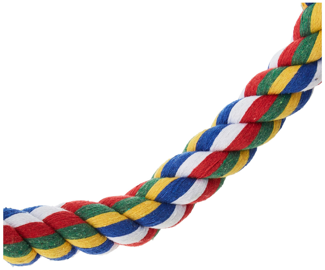 JW Pet Swing N&