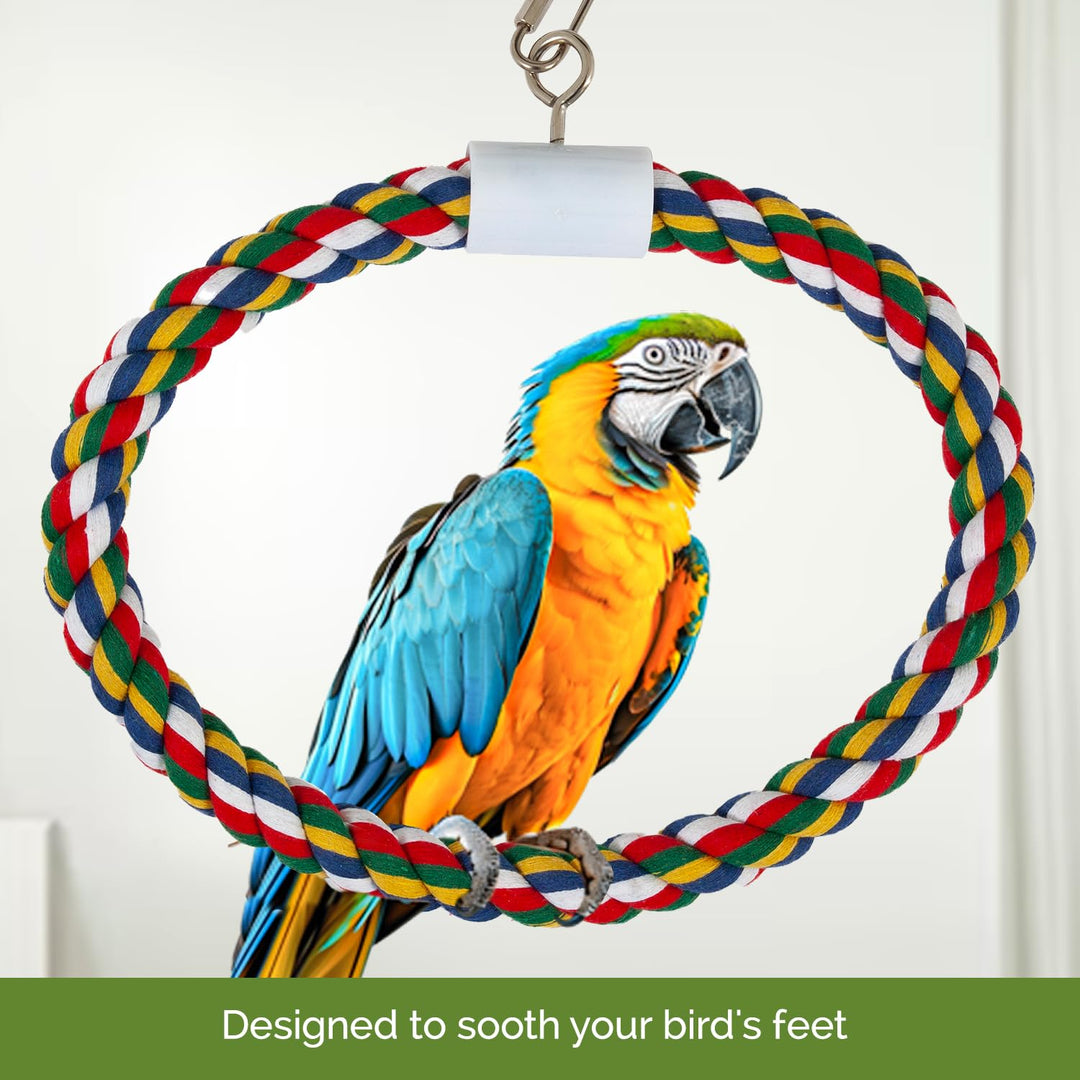 JW Pet Swing N&