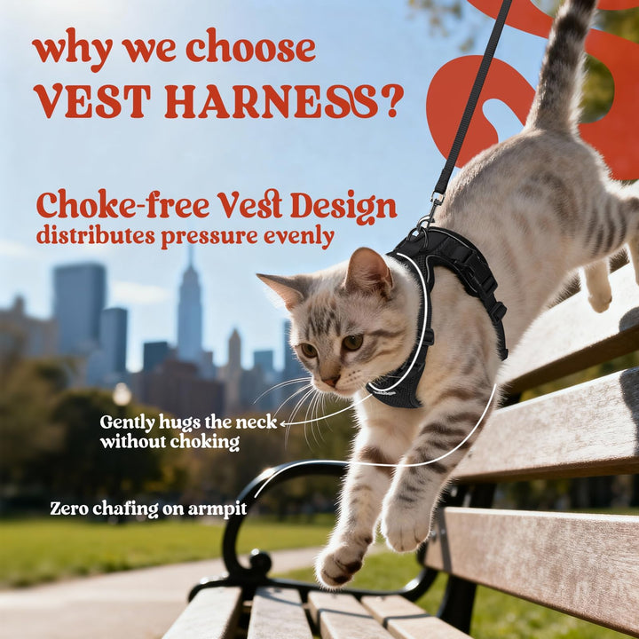 rabbitgoo Cat Harness and Leash Set, Escape Proof Vest, Black