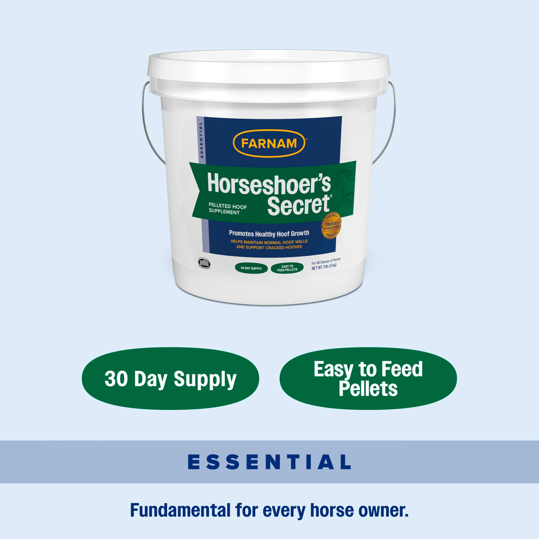 Farnam Horseshoer&