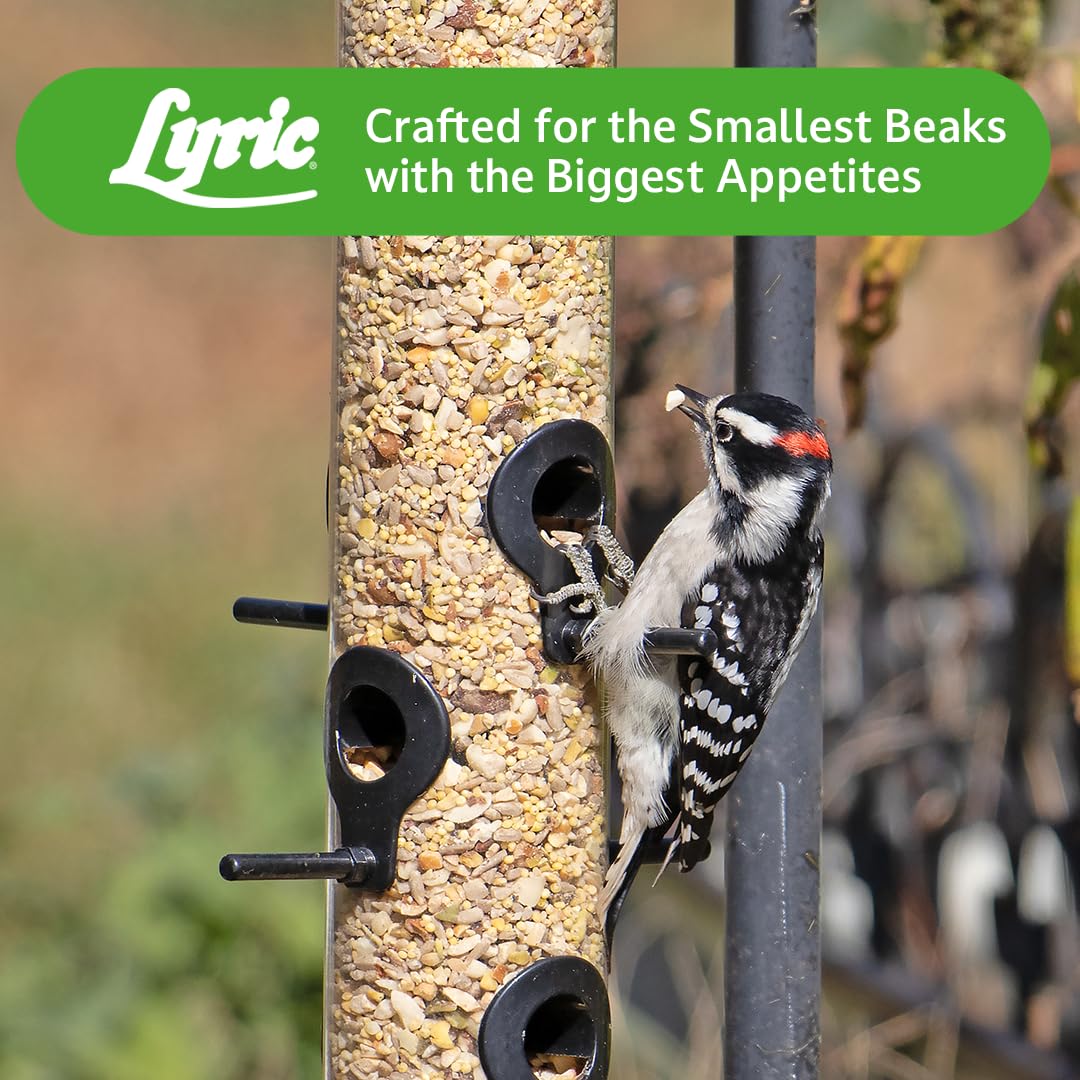 Lyric Fine Tunes Wild Bird Seed Mix - No Waste Bird Food Mix - Attracts Bluebirds, Finches, Chickadees &amp; More - Seed for Outside Feeders - 15 lb Bag