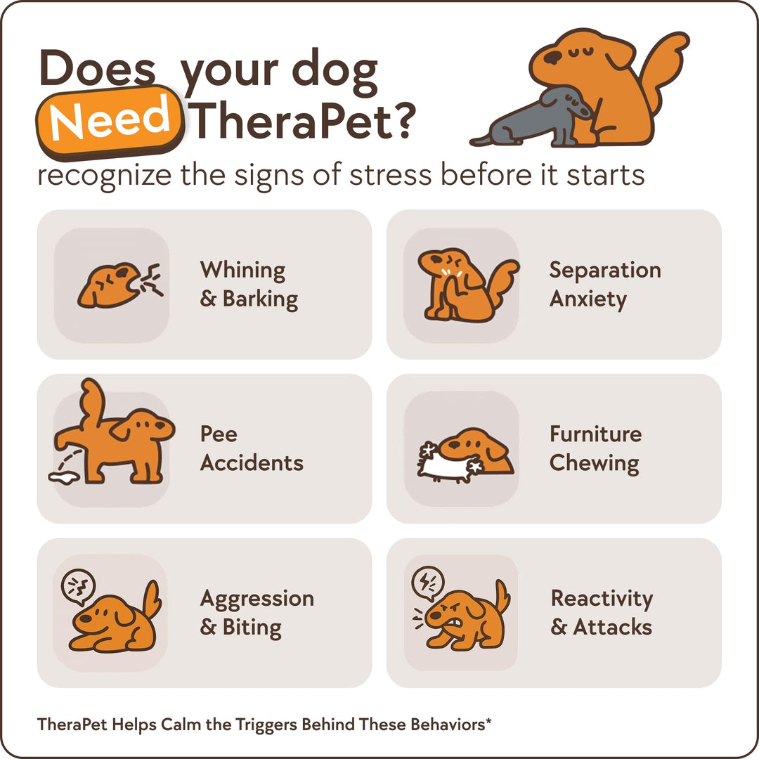 TheraPetMD 60-Day Dog Calming Diffuser Kit - Dog Pheromone Diffuser for Stress, Destructive Behavior, Pee Accidents, Separation Anxiety, Barking, Aggression &amp; Chewing - 60-Day Refills Included