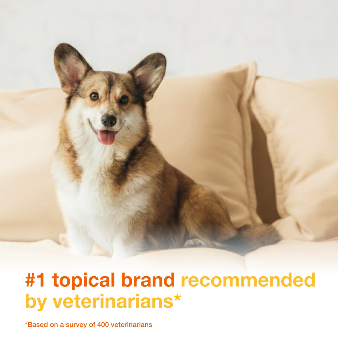 Douxo S3 PYO Medicated Dog Mousse - Bacterial &amp; Yeast Infection Treatment