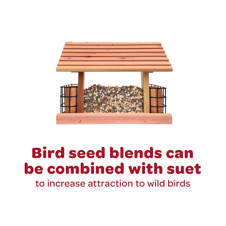 Kaytee Wild Finch Bird Food Stand Up Bag, 5 Pounds